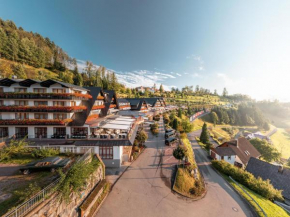  Hotel Dollenberg  Бад-Петерсталь-Грисбах